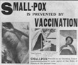Smallpox vaccine