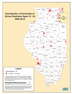 Total Number of Homicides of Illinois Residents Ages 15 - 24 2008-2012