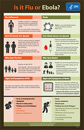 CDC Stopping the Ebola Virus Infographic