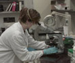 Bioterrorism Laboratory Testing