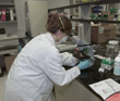 Bioterrorism Laboratory Testing