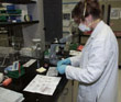 Bioterrorism Laboratory Testing