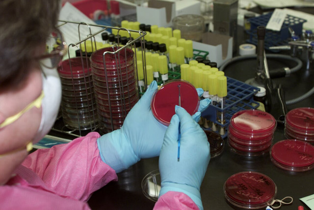 Bioterrorism Laboratory Testing