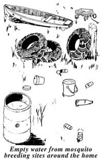 Vacíe agua de sitios de criar de mosquito alrededor del hogar