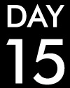 Day 15