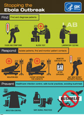 CDC Stopping the Ebola Virus Infographic