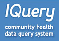 IQuery - Community Health Data Query System