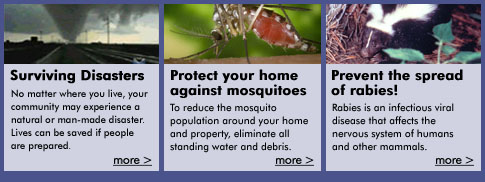 Protect your home against mosquitoes