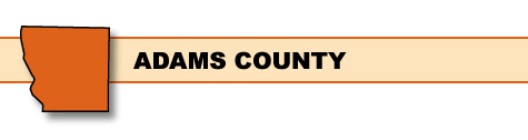 Adams County Surveillance