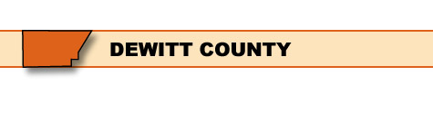 DeWitt County Surveillance