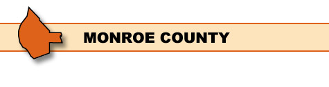 Monroe County Surveillance