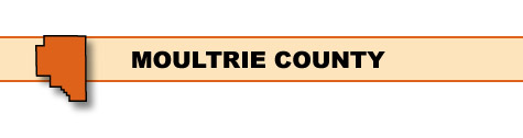Moultrie County Surveillance