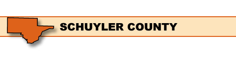 Schuyler County Surveillance
