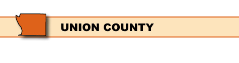 Union County Surveillance