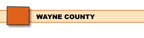 Wayne County Surveillance