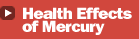 Health Effects of Mercury