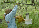 WNV Mosquito Trap 