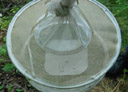 WNV Mosquito Trap